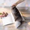 WildFox™ Plush Tail Plug – Flirty Cosplay Fantasy