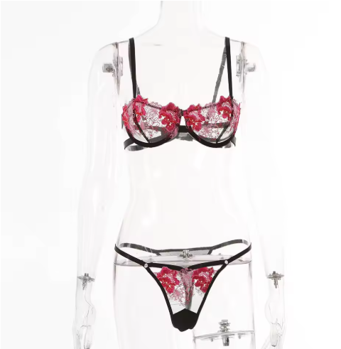 Embroidered Lace Lingerie Set