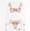 Embroidered Lace Lingerie Set