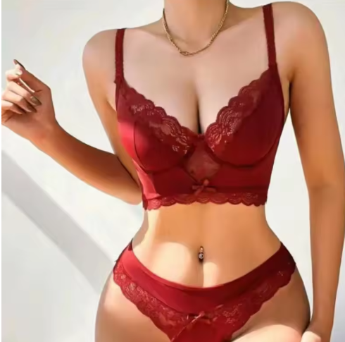 Embroidered Lace Lingerie Set