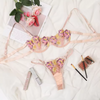 Embroidered Lace Lingerie Set
