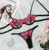 Embroidered Lace Lingerie Set