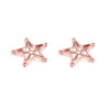 LustGlow™ Star & Flower Clip-On Body Jewelry Set On Nipple Rings (2PCS)